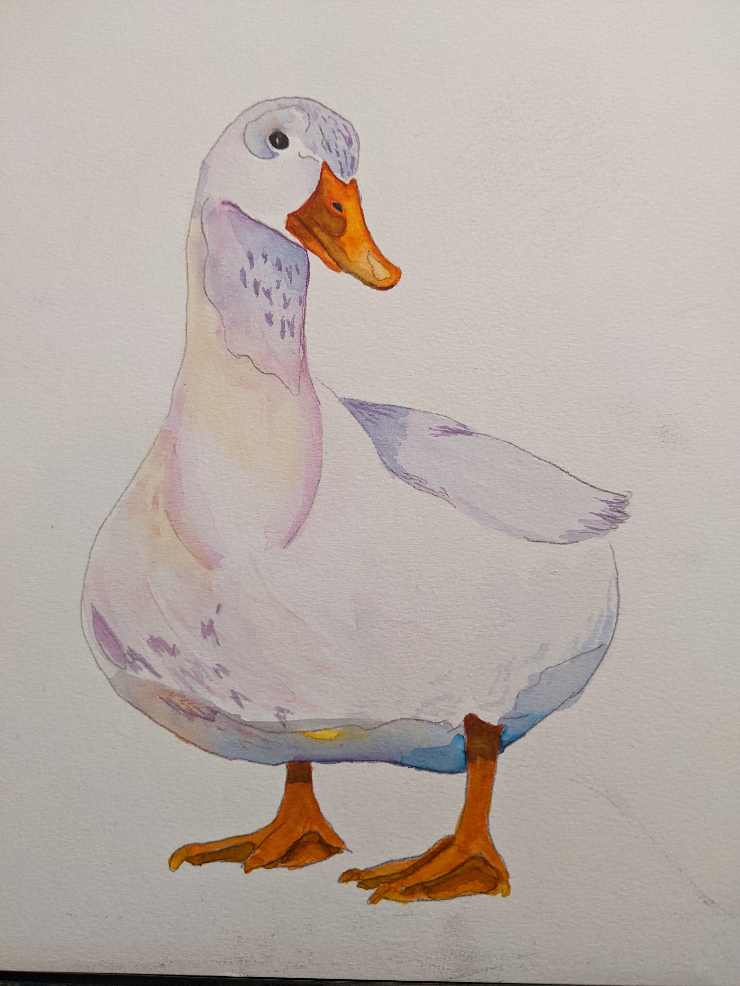 Watercolor Duck