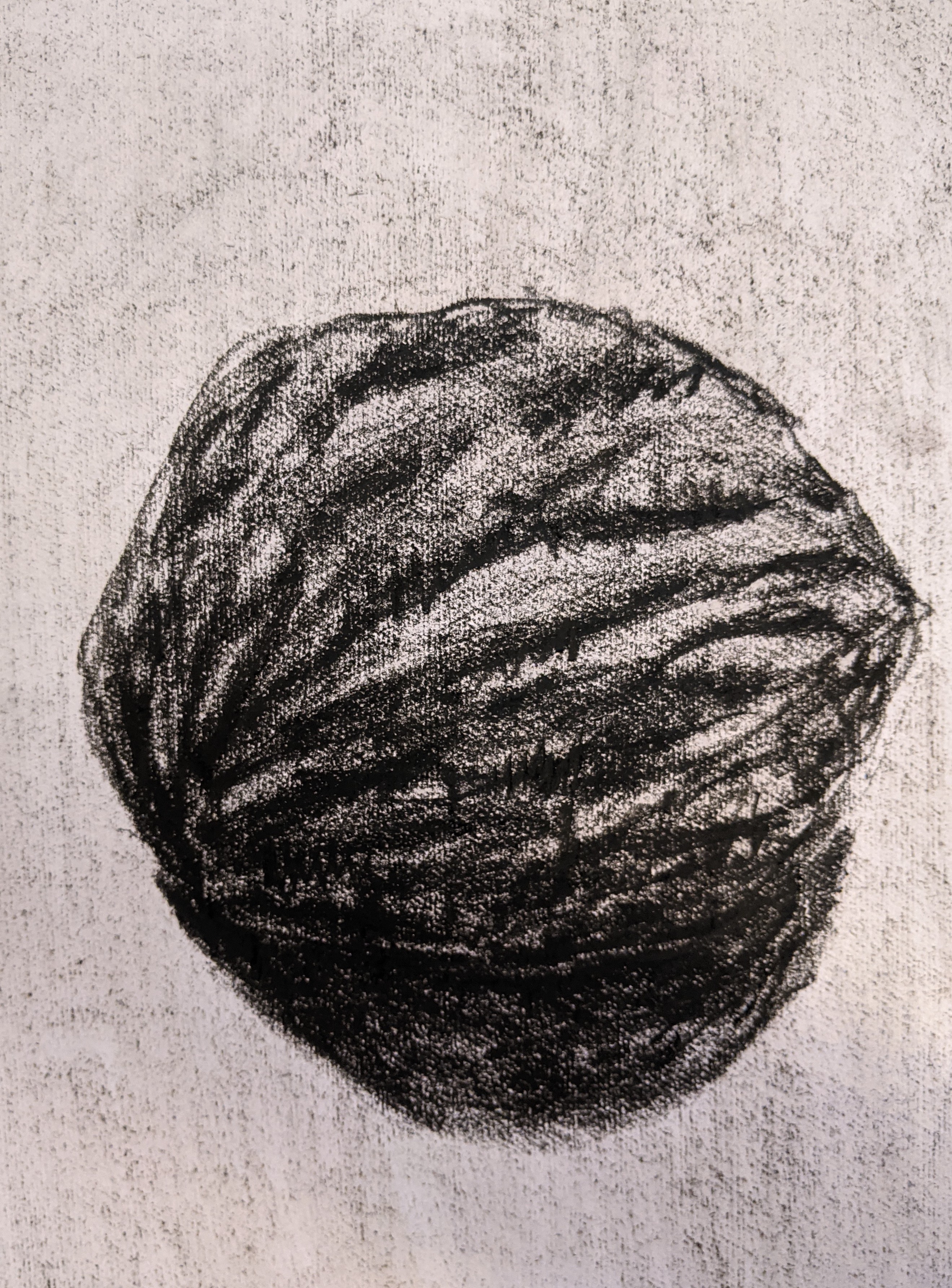 Sketch - Walnut