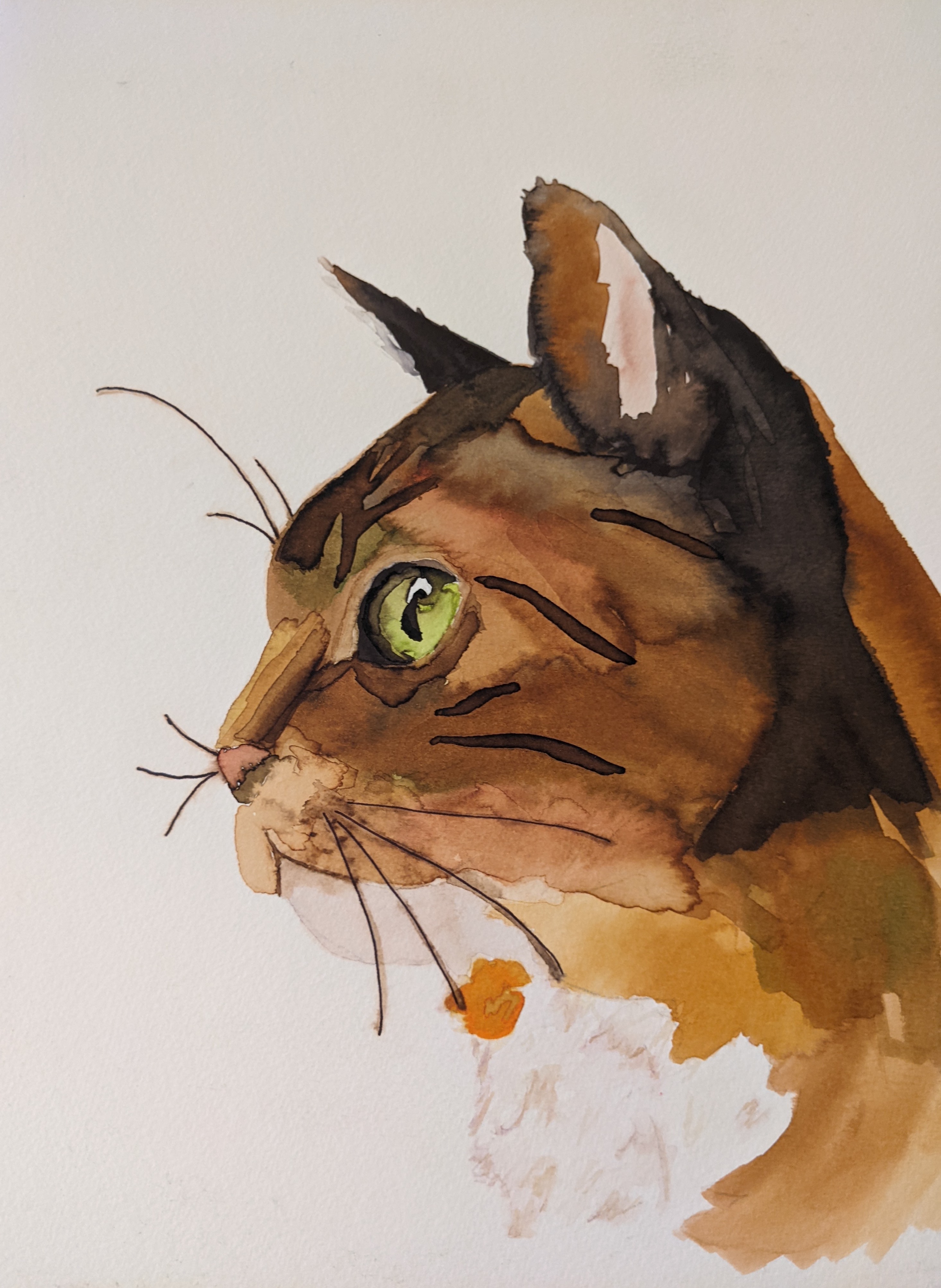 Watercolor Cat Profile